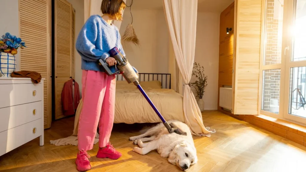 passando aspirador de po em cachorro se divertindo